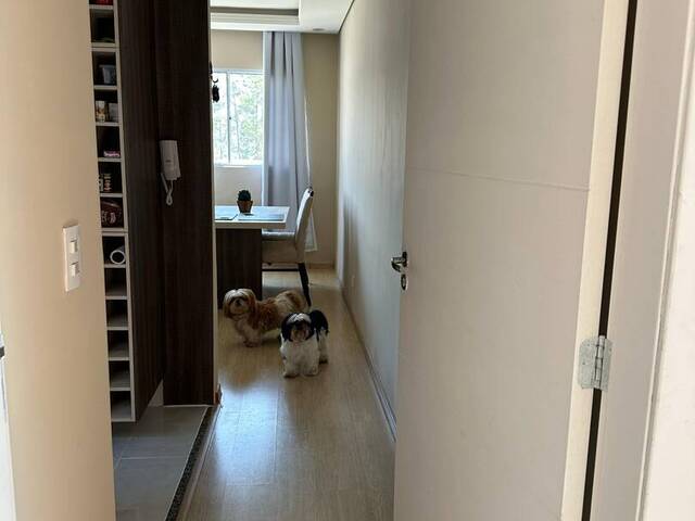 #294 - Apartamento para Venda em Santana de Parnaíba - SP - 3