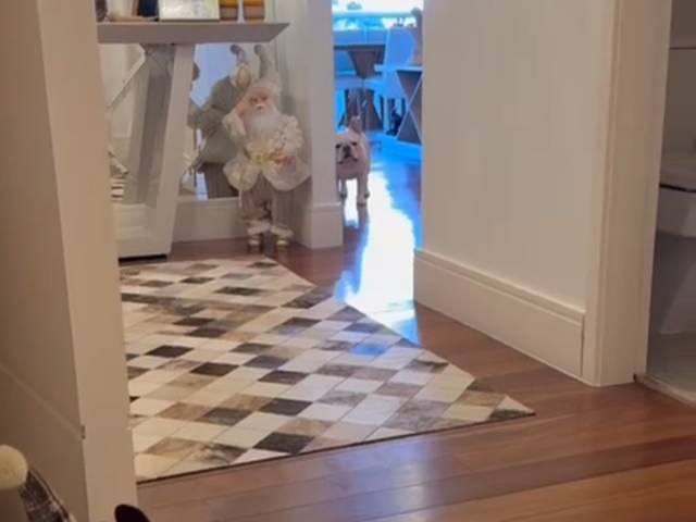 Apartamento para Locação em Santana de Parnaíba - 4