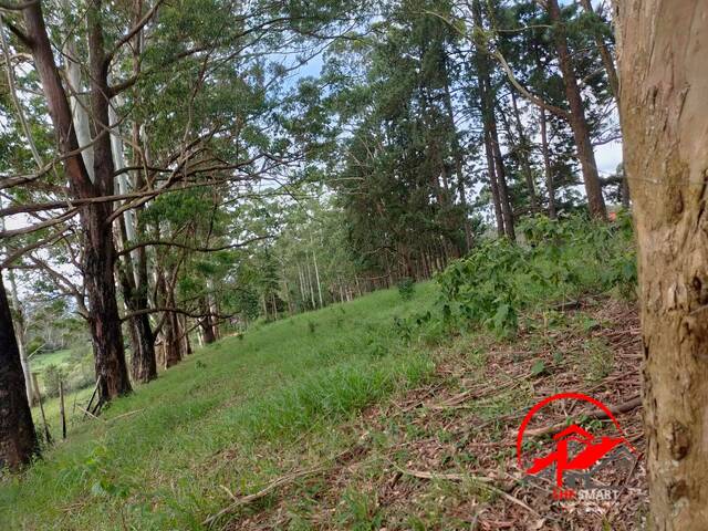 Área para Venda em Santana de Parnaíba - 3
