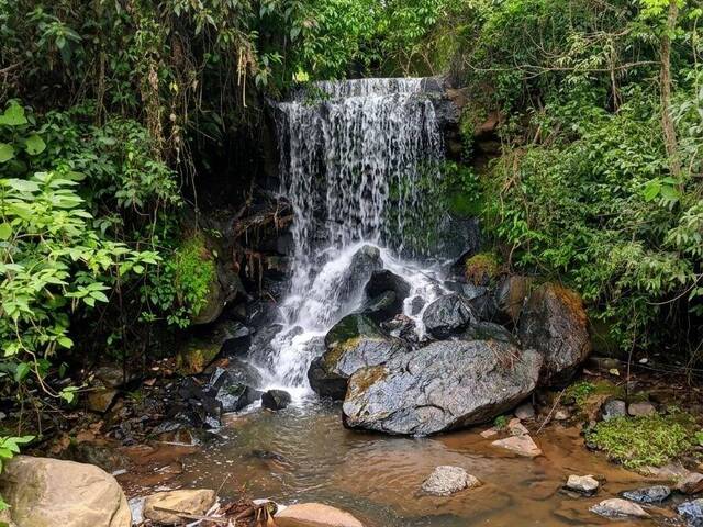 Chácara para Venda em São Roque - 4