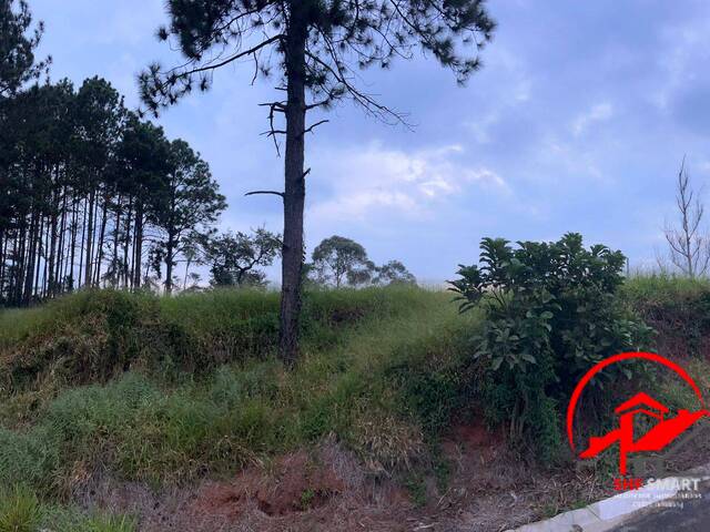Terreno para Venda em Santana de Parnaíba - 2